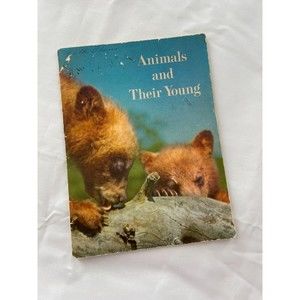 Animals and Their Young by Glenn O Blough Vintage 1959 Softcover Book Animals
